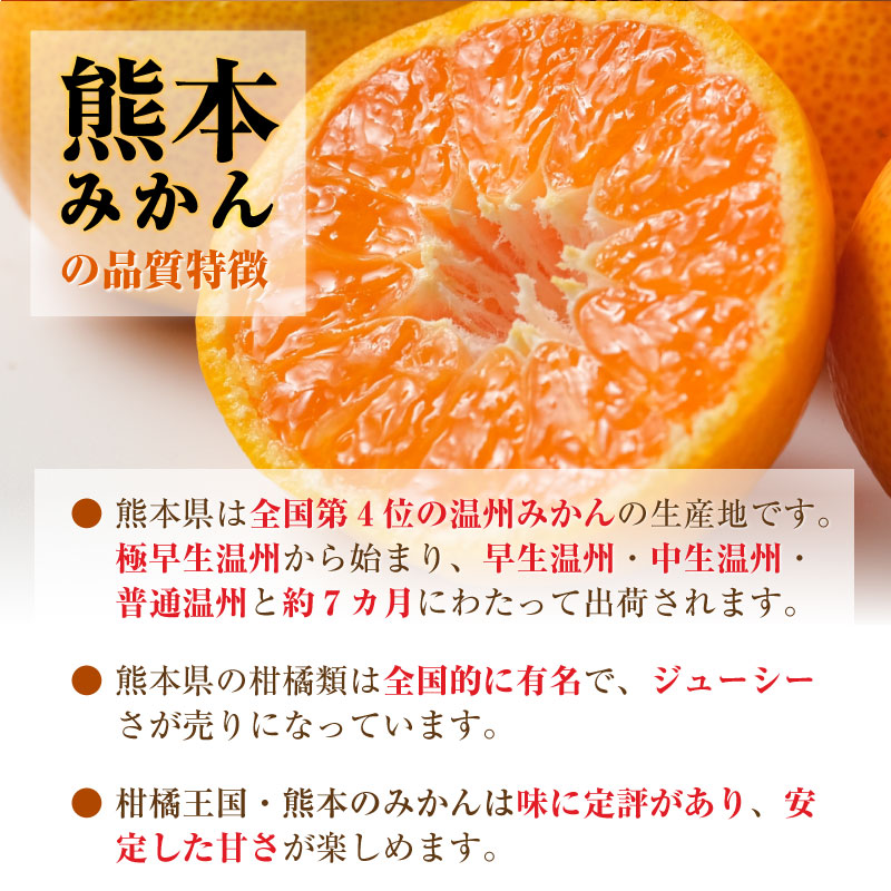 [予約 2023年 12月15日頃から発送] 熊本みかん Mサイズ 約5kg 熊本県産 熊本 JA熊本うき 早生 中生 晩生 くまもと 高糖度 ミカン 産地箱 冬ギフト お歳暮 御歳暮