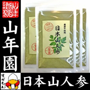 日本山人参 粉末 ヒュウガトウキ 50g×6袋セット パウダー 宮崎県産ノンカフェイン 日本山人参茶 送料無料 お茶 お