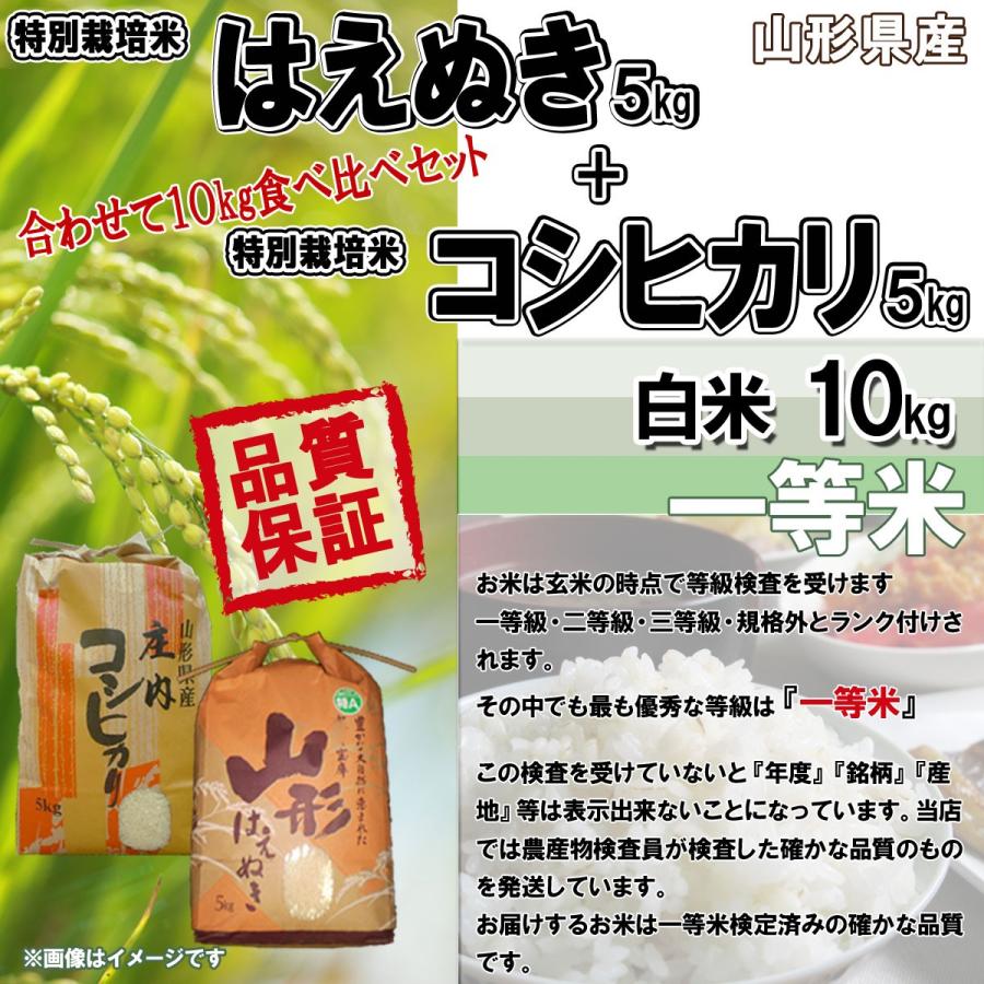 令和5年産 新米 送料無料 山形県産 特別栽培米 はえぬき 5kg コシヒカリ 5kg 計 10kg 食べ比べセット  白米