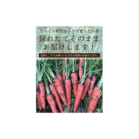 ふるさと納税 都内マルシェで人気のお野菜！甘みたっぷりフルーツにんじん 5kg F21R-196 福島県白河市