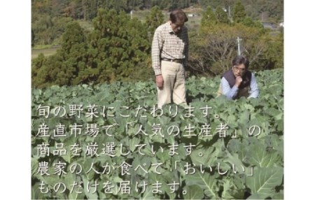 「定期便」野菜詰め合わせセット12ヵ月