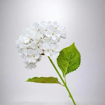 夏日京都大型繡球花吹雪仿真花花材(1入組)
