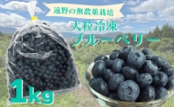 遠野で育った無農薬栽培の大粒冷凍ブルーベリーLサイズ・１kg