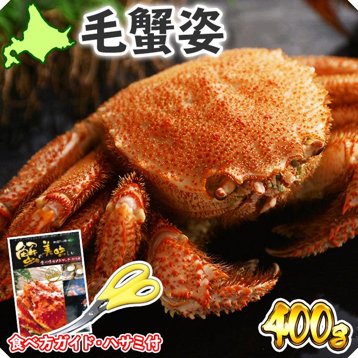 お歳暮 蟹 ギフト カニ 毛蟹 姿 400g 北海道 かに gift ボイル 姿 蟹味噌 毛がに 毛ガニ けがに かにみそ