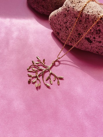 無花果樹 Sweet Fig