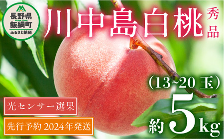 桃 5kg 先行予約 2024年 川中島白桃 秀品 光センサー  発送：2024年8月下旬〜2024年9月中旬 配送先は本州限定 日時指定および不在指定不可 長野県 飯綱町 [0054]