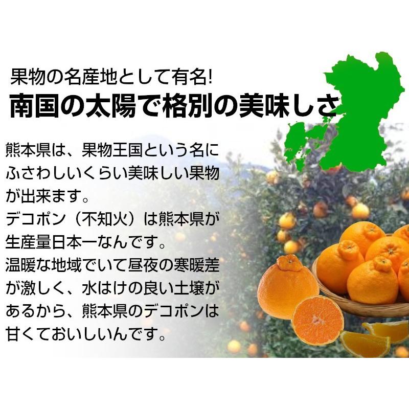 熊本産　デコポン5kg 送料無料 果物ギフト ギフト・ご贈答用