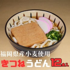 フジギクきつねうどん　239g(12食入り)