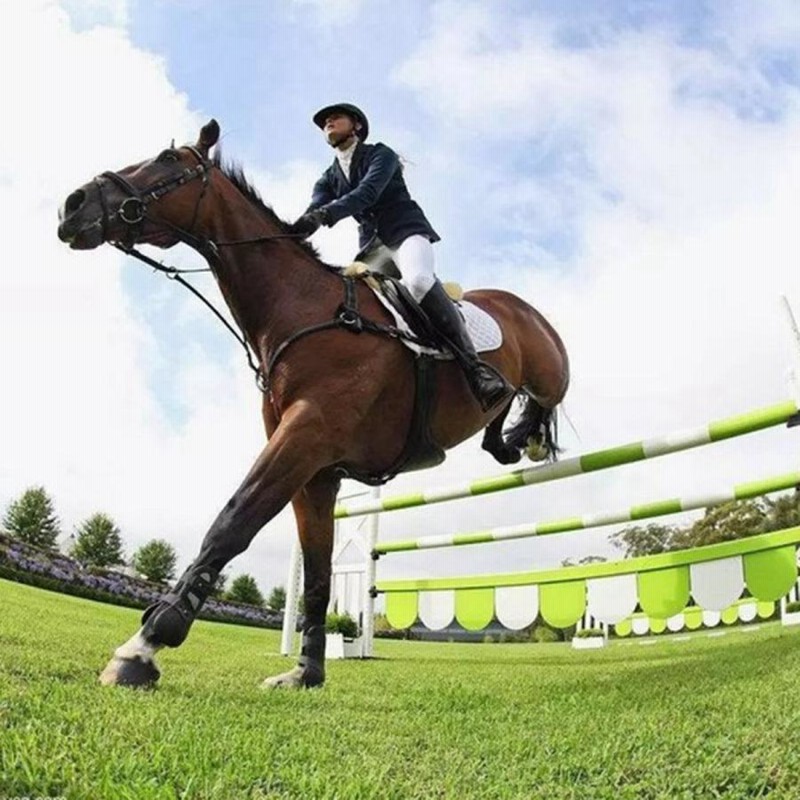 乗馬ベスト.ボディプロテクター安全ベスト.ボディ保護ダンピング  