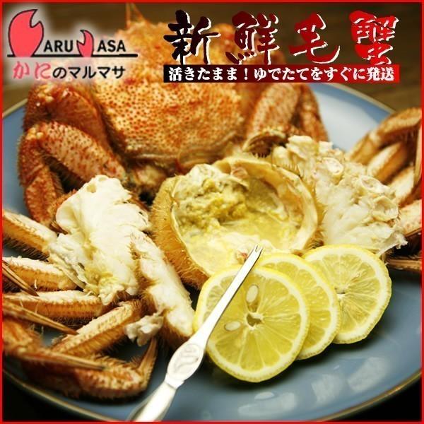 活毛がに350g＆いくら醤油漬け90g 1本＆熟成鮭手ほぐし160g 海鮮セット 北海道産 カニ通販 道産品 お歳暮 ギフト