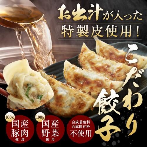 餃子 取り寄せ 送料無料 業務用 冷凍 生餃子 国産素材 時短 お手軽 簡単 大容量 餃子計画 こだわり餃子 100個入り