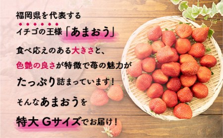 MZ041福岡県産 あまおうG以上 1250g 5パック 先行予約 ※2024年2月～3月末にかけて順次発送予定