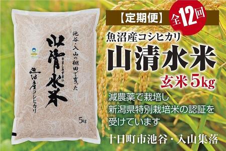 玄米5kg　新潟県魚沼産コシヒカリ「山清水米」