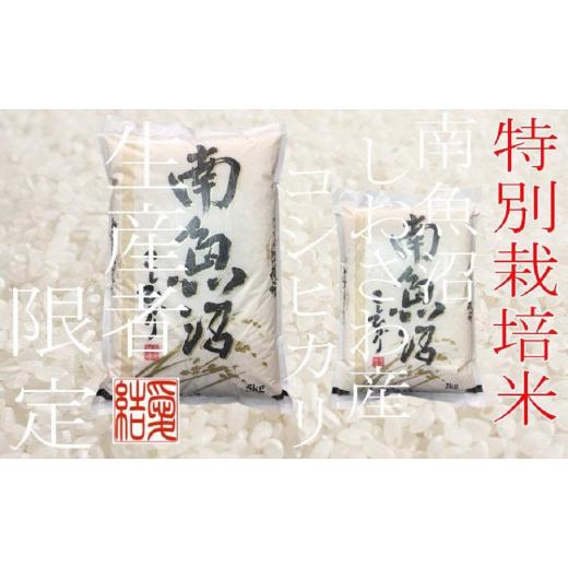 ふるさと納税 新潟県 南魚沼市  契約生産者限定  南魚沼しおざわ産コシヒカリ