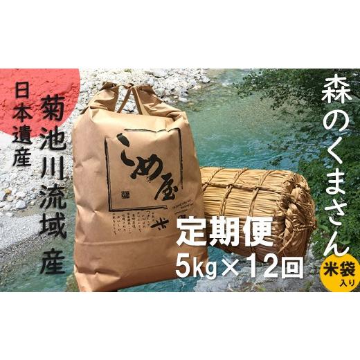 ふるさと納税 熊本県 玉名市  熊本県産 「森のくまさん」 5kg×12か月