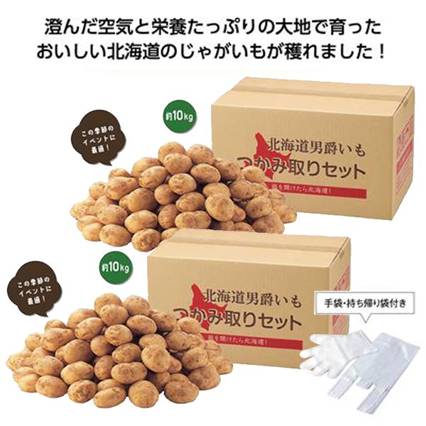 北海道じゃがいもつかみどり10kg（10名様）2セット グルメ 食品 ノベルティグッズ 販促品