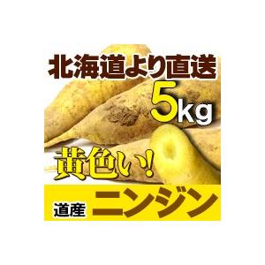 イエローにんじん 北海道産 5kgセット 黄人参 黄にんじん ニンジン お取り寄せ 産直 野菜 人参 秋の味覚