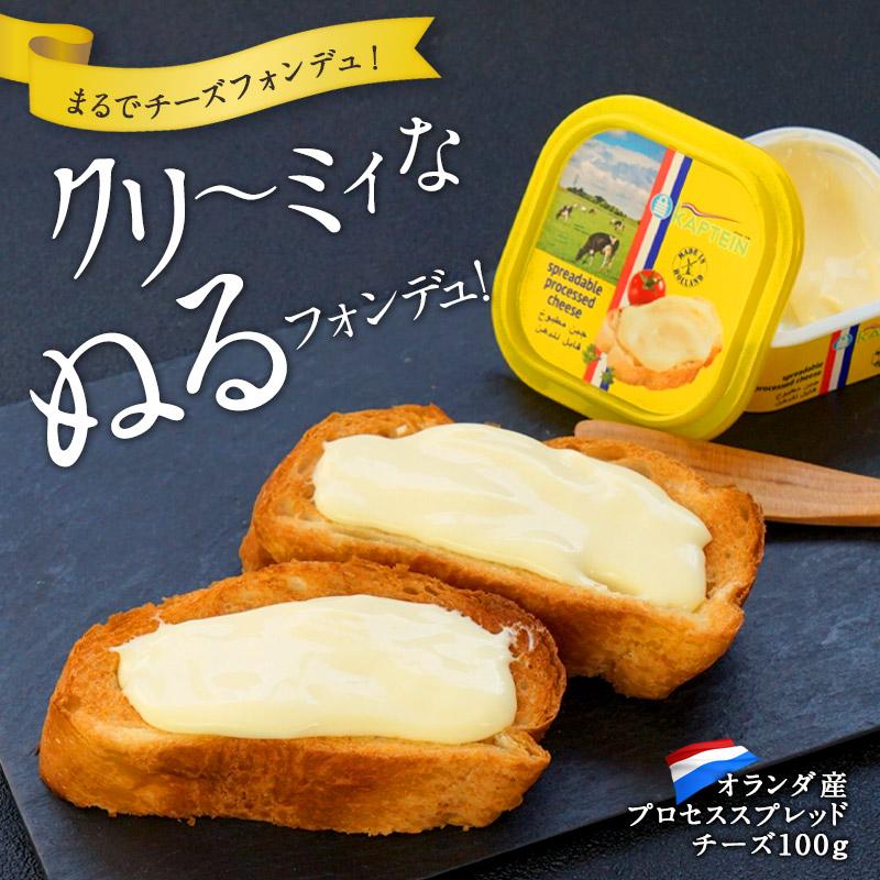 プロセススプレッドチーズ 100g［冷蔵］