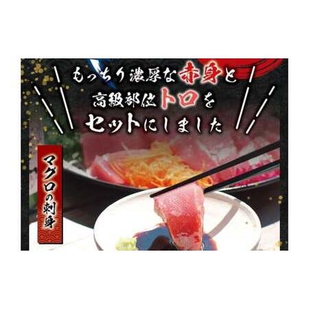 ふるさと納税 まぐろ 年内配送 年内発送 年末 新年 刺身 赤身 冷凍 お正月に間に合う！ 12月25日〜12月29日に発送 本マグロ（養殖）トロ＆赤.. 和歌山県紀美野町