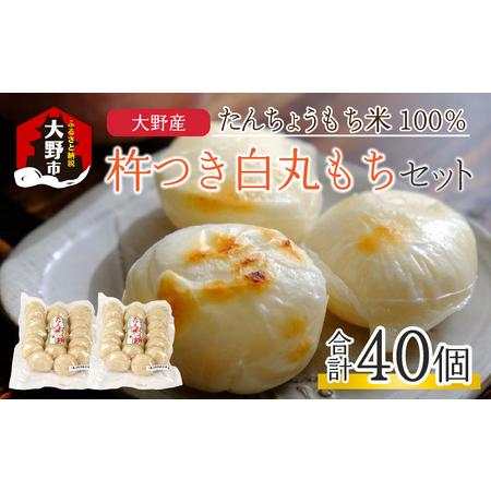 ふるさと納税 「杵つき白丸もちセット40個」(50g × 40個） 大野産たんちょうもち米使用 【12月20日までの入金確認.. 福井県大野市