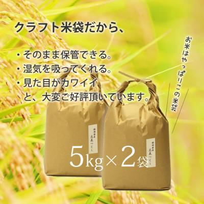 ふるさと納税 苅田町 福岡県産「元気つくし」5kg×2袋 [10kg] [玄米](苅田町)