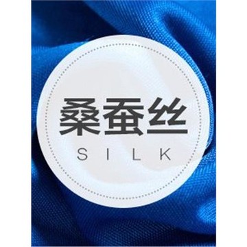 外貿冬春秋針織T恤女薄款真絲打底衫女長袖圓領上衣純桑蠶絲線衣