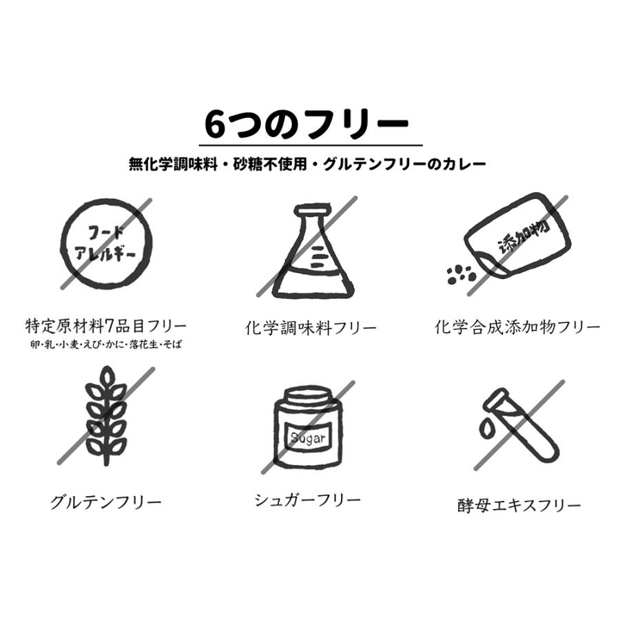 [2袋セット]昼飯屋 身体にやさしい 海苔カレー（チキン入り）220g 送料無料