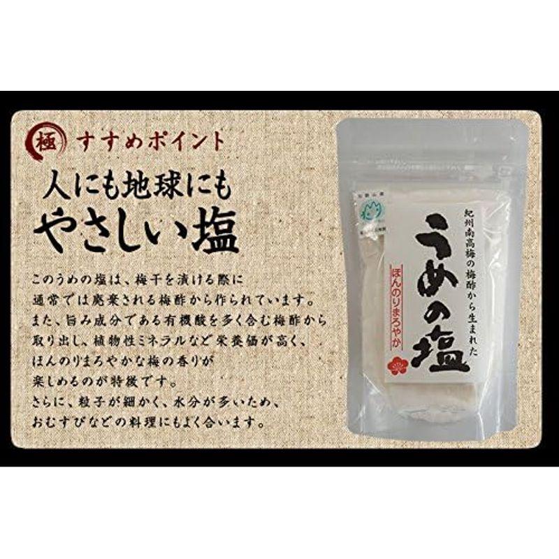 ふみこ農園 焼き海苔 国産上焼きのり 30枚入り(うめの塩100g付)