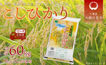 ＜12ヶ月定期便＞千葉県産「コシヒカリ」5kg×12ヶ月連続 計60kg A033