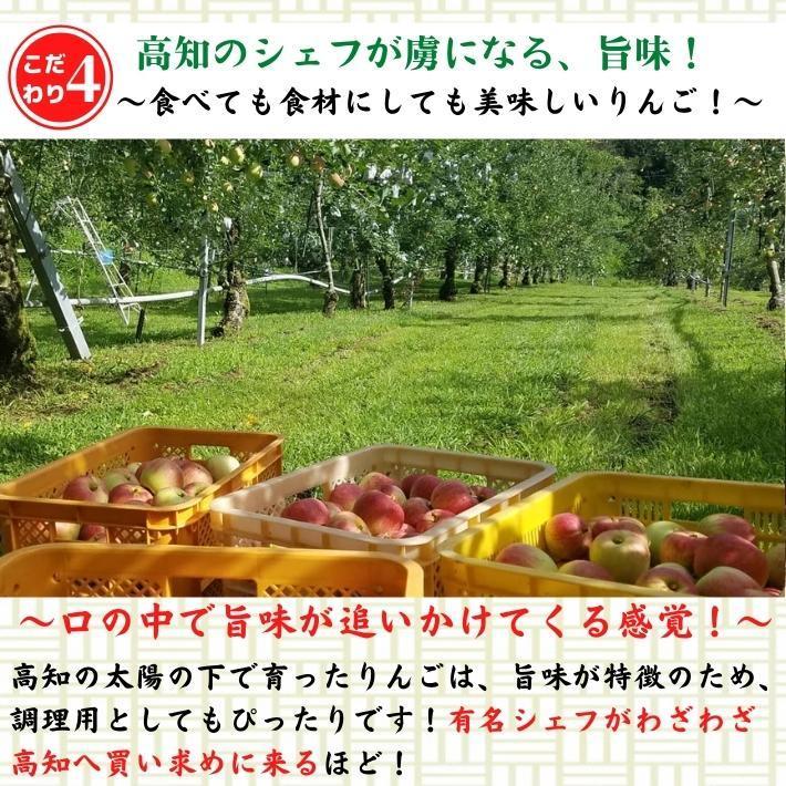 2024年度予約 高知県産 りんご ふじ  減農薬  有機肥料 8玉入 土本観光農園 ギフト 産地直送