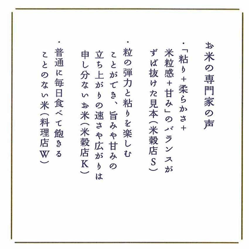 令和5年産 お米 米 ５kg 福井県産 いちほまれ 福井県米 新米