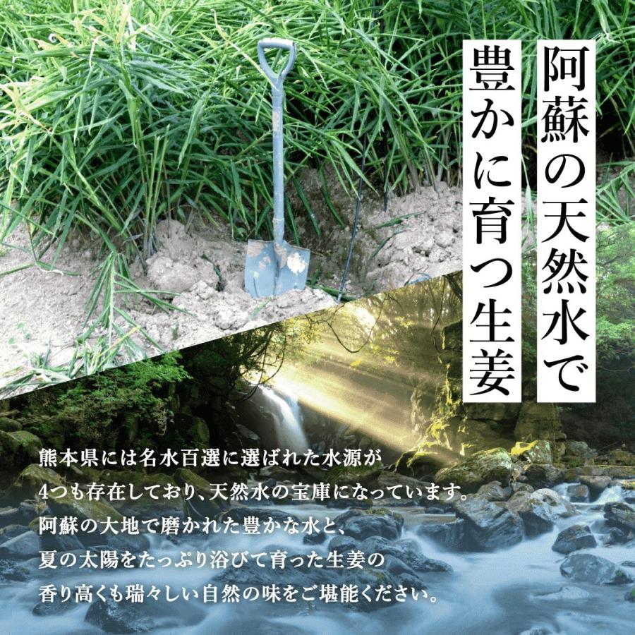 新生姜 2kg 熊本県産 無農薬随時発送