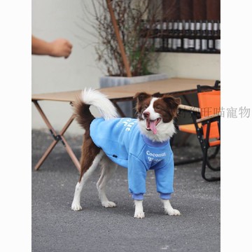 💕在臺出貨🔥狗狗衣服大型犬邊牧金毛杜賓保暖加厚冬裝寵物冬季加絨圓領衛衣