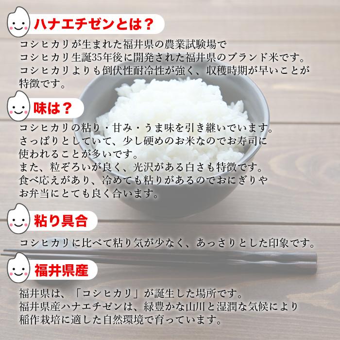 ハナエチゼン 米 5kg  令和4年産 福井県産 米 お米 白米 おこめ 華越前 精米 単一原料米 ブランド米 5キロ 送料無料 国内産 国産