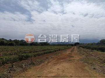 龍潭休閒茶園農地B｜桃園市龍潭區雙連段