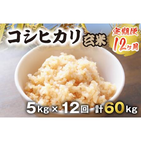 ふるさと納税  本原農園のまごころコメた 福井県産 コシヒカリ 5kg × 12回 計60.. 福井県坂井市