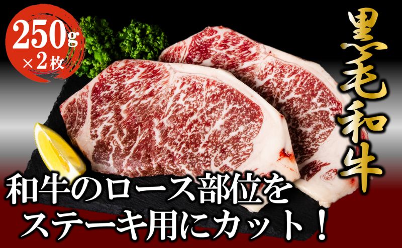 黒毛和牛 ロースステーキ 500g （250g×2枚） 牛肉 お肉 ステーキ ロース