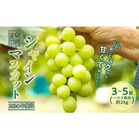 ふるさと納税 岡山県備前市産　樹上完熟「シャインマスカット」（ハウス栽培）約2kg 岡山県備前市