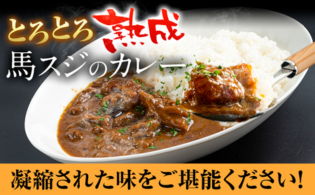 たっぷり！馬スジカレー 10食セット 千興ファーム《60日以内に順次出荷(土日祝除く)》馬スジ カレー お肉 馬すじ カレーライス 馬肉 贈答 ギフト グルメ お取り寄せ 熊本県 御船町 送料無料 個包装 大人気 簡単調理