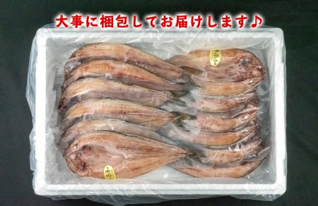 干物 ひもの 魚 真ほっけ 開干し 12枚 セット 北海道 礼文島産 真空 水産庁長官賞受賞 