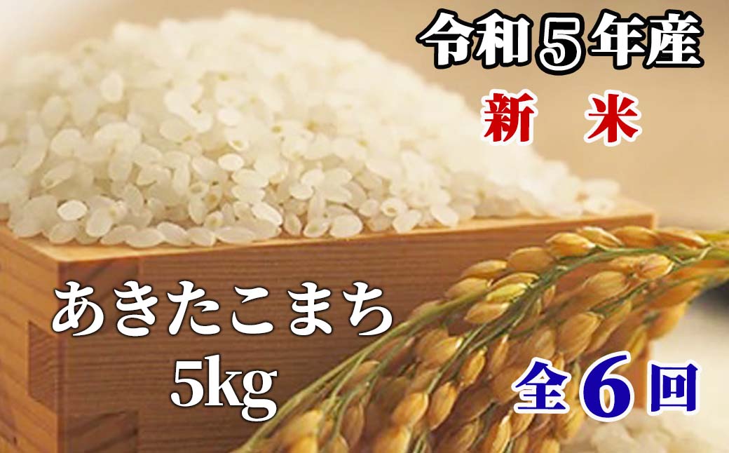 白米 5kg 令和5年産 あきたこまち 岡山 「おおがや米」生産組合 G-bf-CCZA