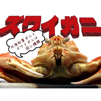 北海 松葉ガニ 1kg  (ズワイガニ) 大 2尾(ボイル)計1.0キロ 越前蟹や松葉ガニ 加能がにと呼ばれるずわいがに 解凍してすぐに食べれる松葉蟹