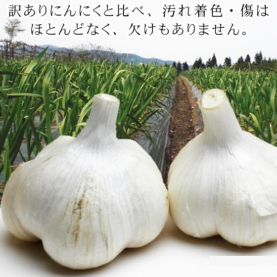 にんにく 青森 国産 2Lサイズ 5kg A品