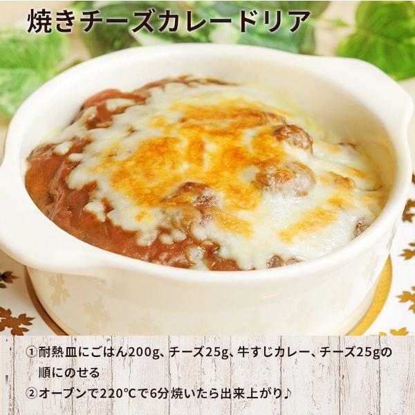 カレー レトルト 牛すじ ビーフカレー 中辛 国産 コラーゲン 送料無料 博多 長期保存  レトルトカレー レトルト食品 グルメ 牛すじカレー 200g×50パック