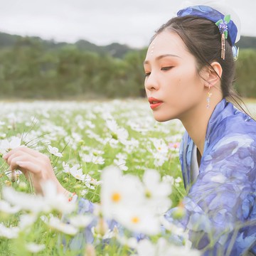 桂花香髮釵-藍紫款(小朵)-共七色
