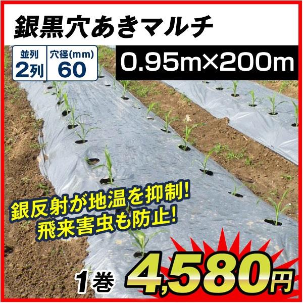 農業用マルチシート 農ポリ 銀黒穴あきマルチ2列60 0.95×200ｍ 1巻1組 農用 マルチマルチング 被覆資材 ポリエチレン 防草 防虫 地温抑制 国華園