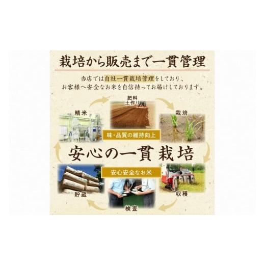 ふるさと納税 京都府 京丹後市 無洗米・定期便（3回）／2023年産 京都・丹後コシヒカリ 無洗米 5kg  作り手が見えるコシヒカリを無洗米に！ …