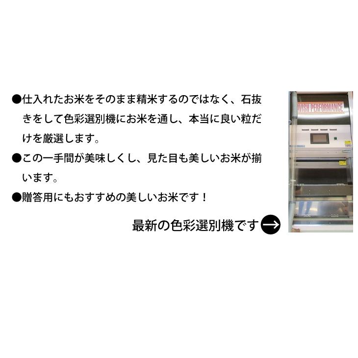 お米 25kg 米 こしひかり 新米 令和5年 5kg×5袋 埼玉県産 送料別