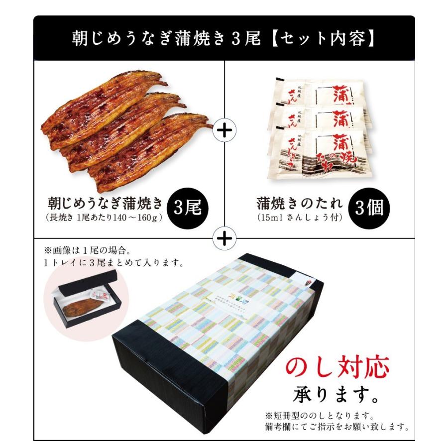 お中元 プレゼント うなぎ 国産 特大 朝じめ 特選 鰻 蒲焼き 3尾セット 送料無料 ギフト 60代 70代 80代