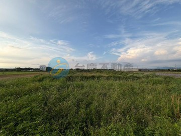 專任-善化千坪有水有電方正增值農地｜台南市善化區茄拔